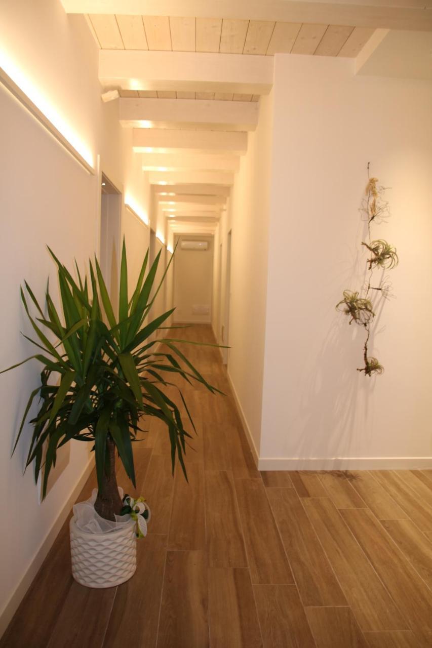 Casablanca Hotel Civitanova Marche Dış mekan fotoğraf